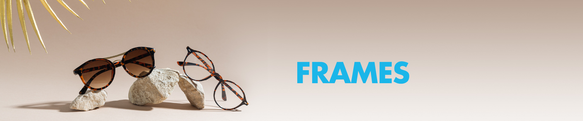 frames banner